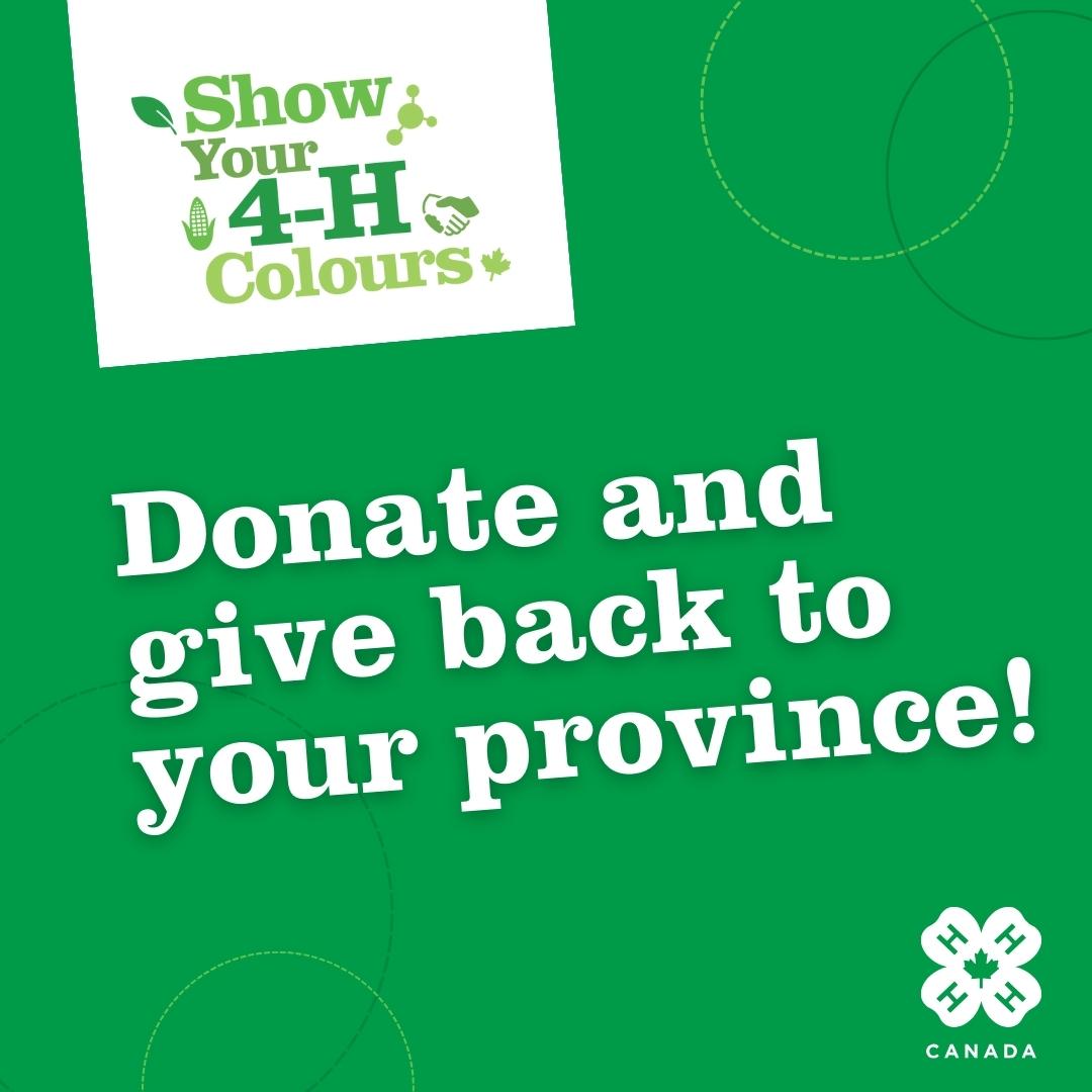 Give back to 4-H!