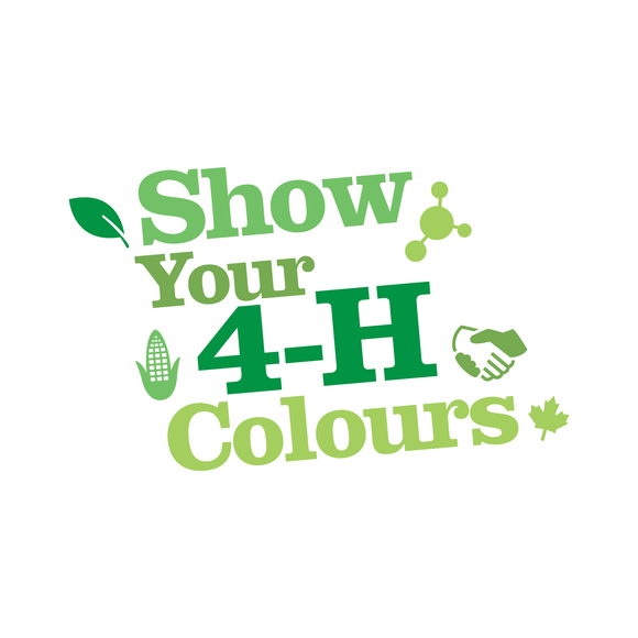 Show Your 4-H Colours Fundraiser
