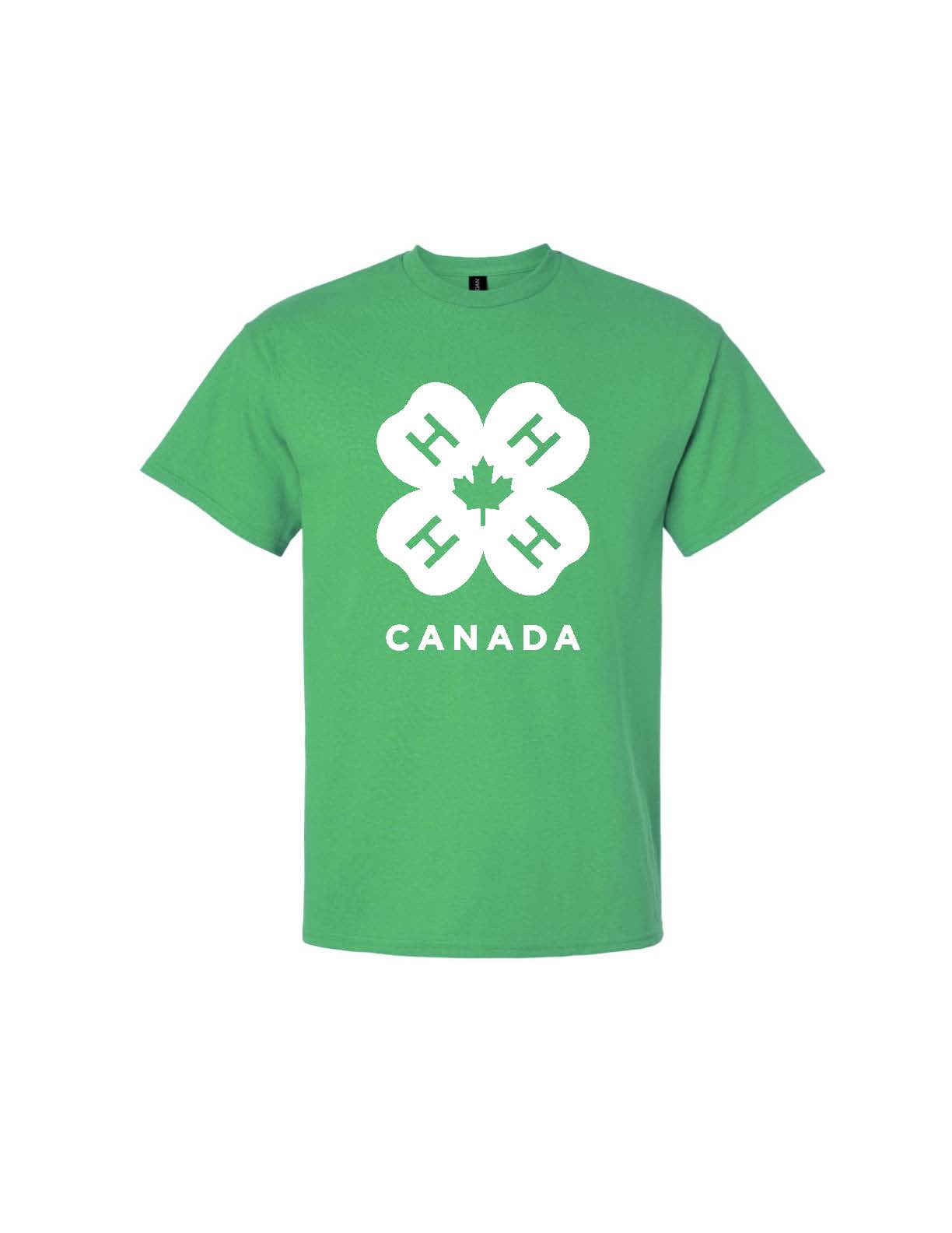 Big Pines Tee – Algonquin Motors