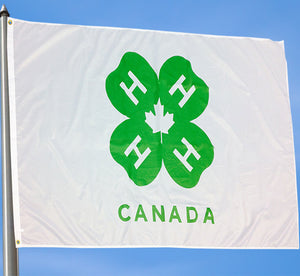 Logo Flag - Large