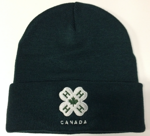 Cuffed Toque - Forest Green