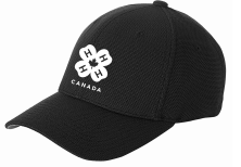 Flexfit Ball Cap
